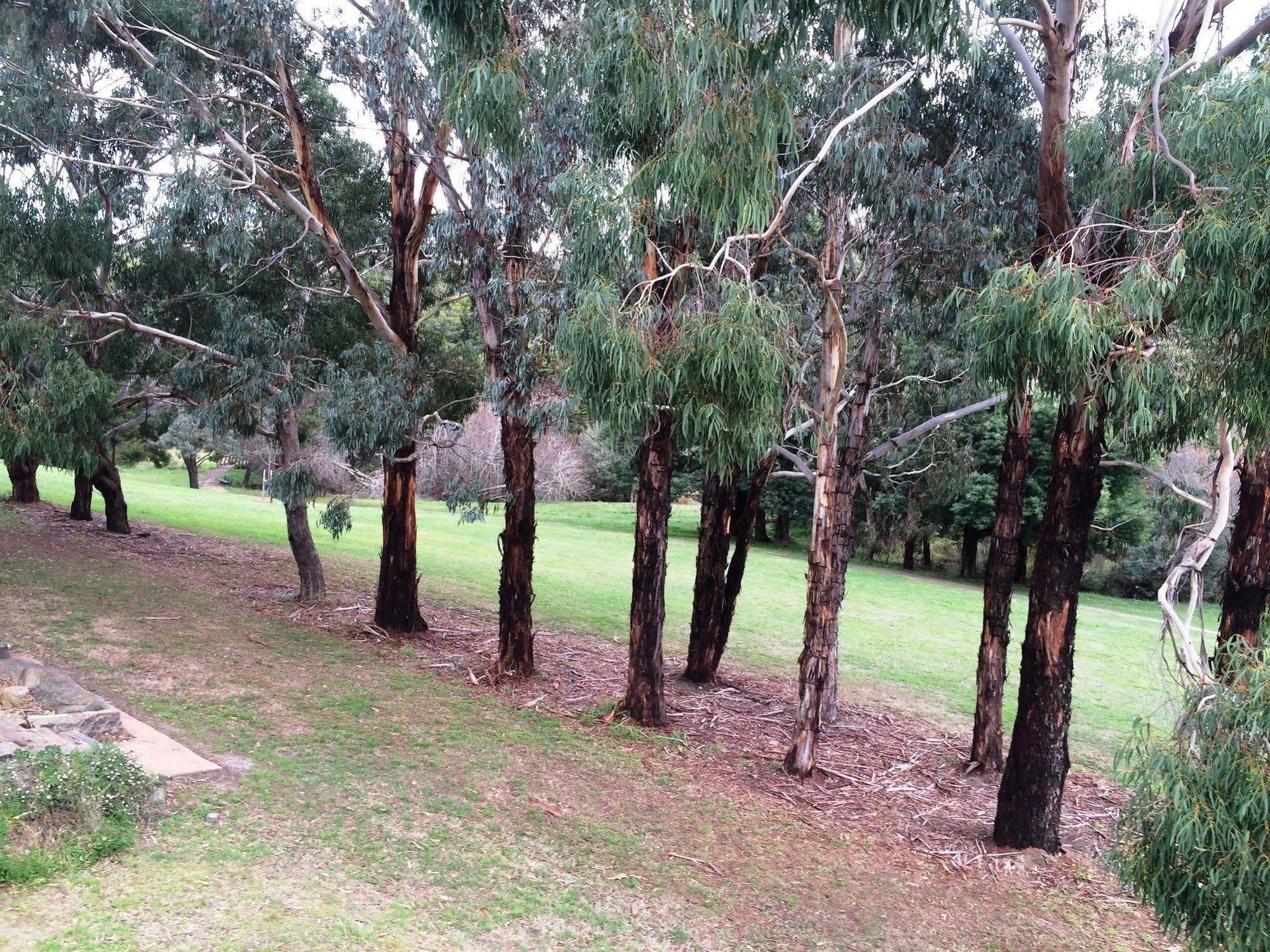 Daylesford By The Lake Cute&Cosy Studio Hotel ภายนอก รูปภาพ